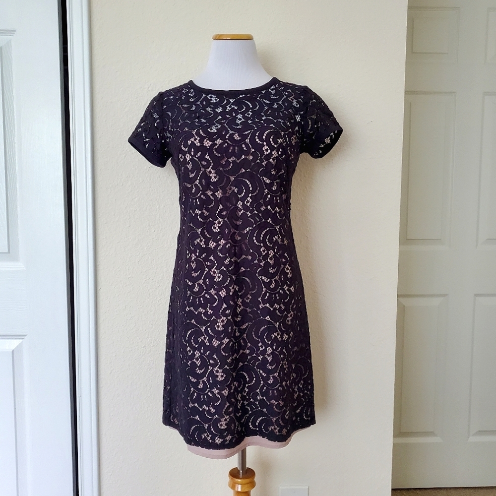 Loft shift dress lace sz 4
